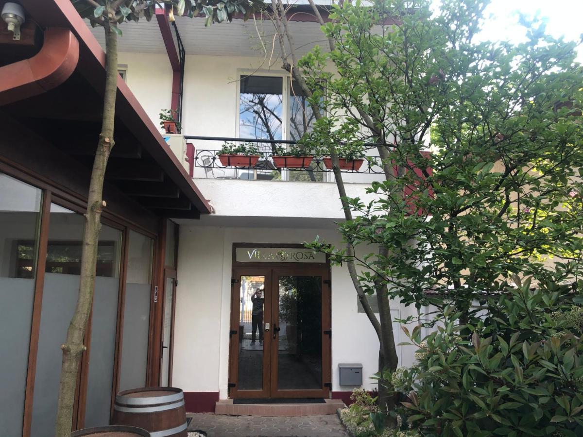 Villa Rosa Timişoara Eksteriør billede